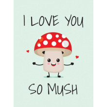 I Love You So Mush by Summersdale Publishers Hardcover Book