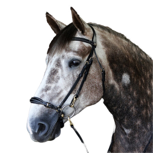 (Full, Black) Whitaker Leather Horse Combination Noseband 2