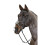 (Cob, Black) John Whitaker Valencia Leather 5-Point Horse Breastplate 2