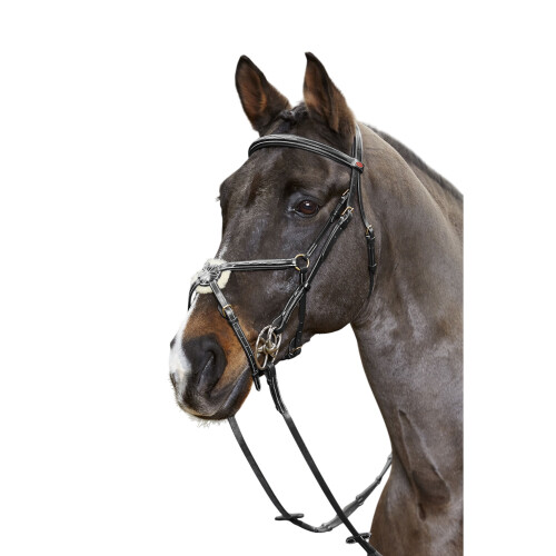 (Cob, Black) John Whitaker Valencia Leather 5-Point Horse Breastplate 1
