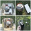 1Set Camping Stove Windscherm Aluminium Winddicht Vouwbaar 3