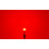 2 pcs LED bulb W16W 12-24V 100% CAN red strong, no error 8
