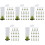 100Pièces Outils Apiculture Cage Plastique Protection Durable 5