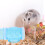 4Ensembles Tunnel Externe Résistant Pour Cage Hamster Rongeurs 8