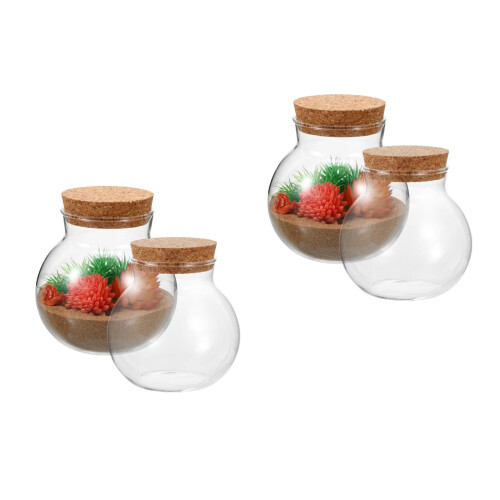 4Pièces Flacons En Burrs Pour DIY Terrarium Plantes 2