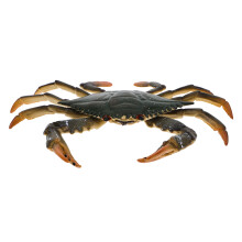 2Pcs Black Marine Animals Toy Plastic Crab Models for Kids Cognition