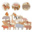 2Sets Wooden Stack Blocks for Kids Assorted Color Animal Blocks Toy 9