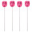 4Pièces Testeur De Rose Facile À Acier Inoxydable 2