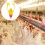 40Pcs Automatic Poultry Water Feeder Yellow Chicken Drinker for Birds 7