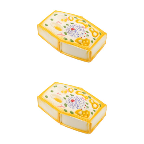 2Pcs Assorted Color Plastic Plant Cell Anatomy Models for School Use 2