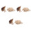 6Pcs Plastic Animal Model Toys Assorted Color for Teaching Kids 2
