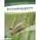 Grasshoppers by Dalton Rains Paperback Book 1