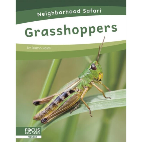 Grasshoppers by Dalton Rains Paperback Book