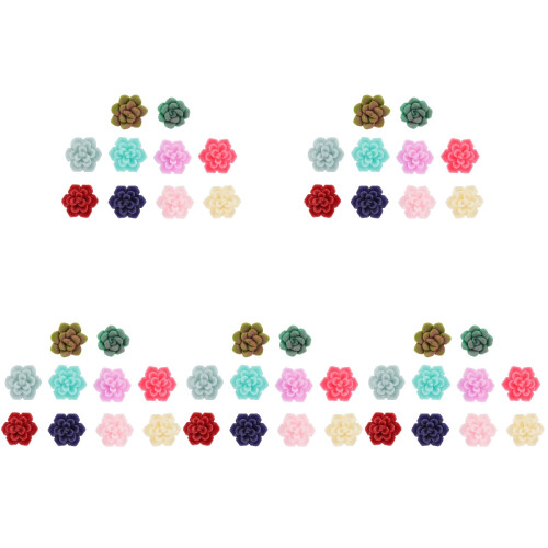 50Pièces Oreilles Succulentes Décoratives Couleurs Variées 1