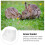 2Pièces Porte- Pour Petits Animaux Robuste 7