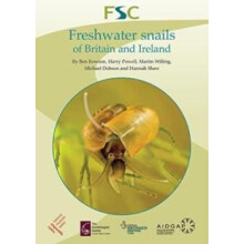 Freshwater Snails of Britain and Ireland by Hannah Shaw Paperback Book