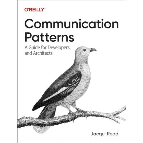 Communication Patterns by Jacqueline Read Paperback Book