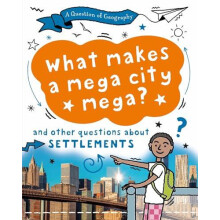 A Question of Geography What Makes a Mega City Mega by Paula Richardso