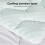 Lavio Mattress Topper Pillowtop Memory Foam Cover 2
