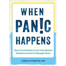 When Panic Happens by Charles Schaeffer Paperback Book