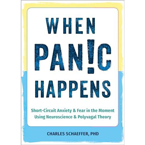 When Panic Happens by Charles Schaeffer Paperback Book