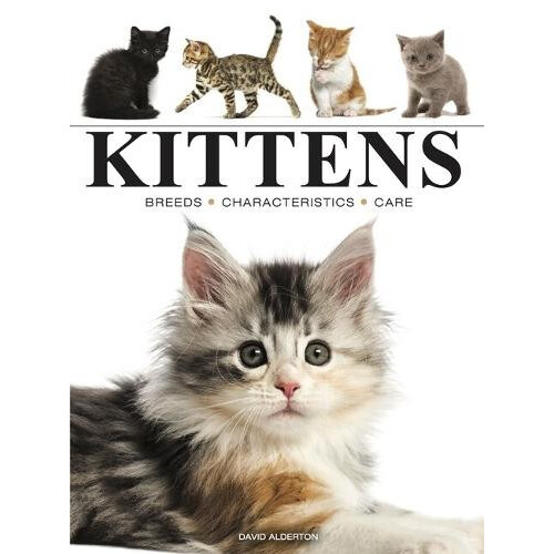 Kittens by David Alderton Paperback Book