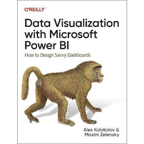 Data Visualization with Microsoft Power Bi by Maxim Zelensky Paperback