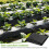 Black Heavy Duty Polythene Sheeting, Extra Thick Waterproof Plastic Cover, Garde 6