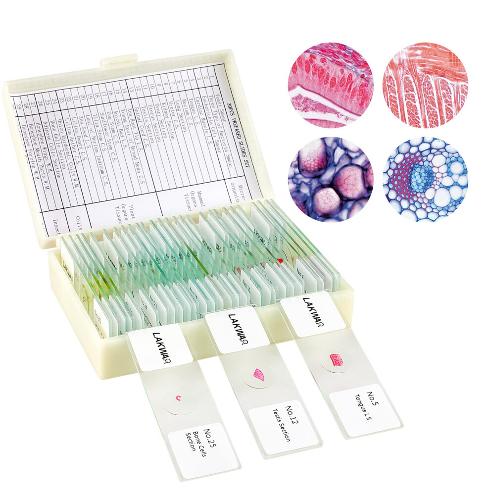 Photos - Creativity Set / Science Kit LAKWAR 30 Microscope Slides with Specimens for Kids, Prepared Microscope Slides for Kids Microbiology, Glass Slides for Micr