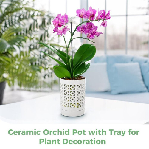 Vaso de Orquídea com Furos Vasos de Cerâmica para Plantas Vasos de Flores Internos e Externos para Replantio com Drenagem e Pires de 4 Polegadas 2