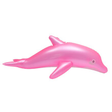 2PCS Inflatable Beach Swimming Pool Game Toy Float Water Sports Inflatable Toys for Kids Swimming Pool Toys