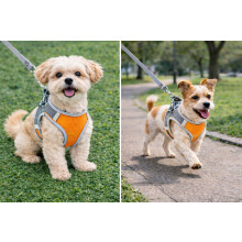 Dog Harness No Pull Fully Adjustable Lightweight Puppy Vest (orange,Extra Small)
