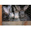 80 m Hexagonal mesh Chicken fence Rabbit wire Rabbit lattice Hare wire 100 cm 25 mm 7