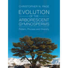 Evolution of the Arborescent Gymnosperms 2 Volume Hardback Set by Chri