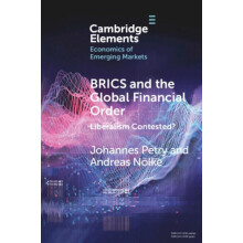 BRICS and the Global Financial Order by Andreas GoetheUniversitat Fran