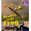 Essential Letters and Sounds Essential Phonic Readers Oxford Reading L 1