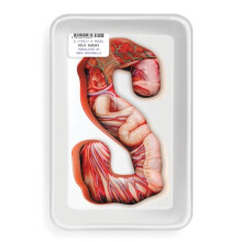 S by Koji Suzuki Paperback Book