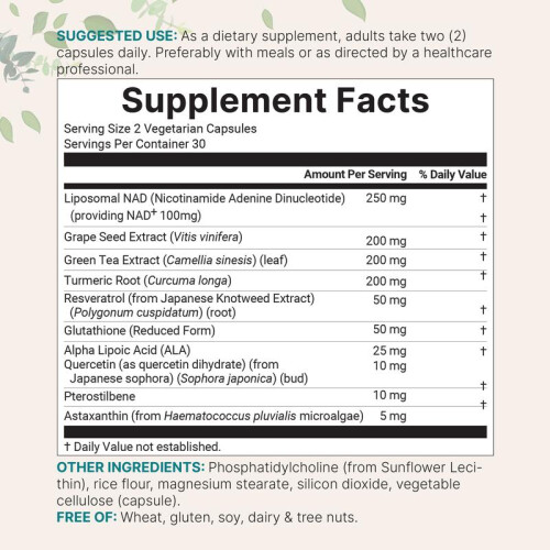 Micro Ingredients Liposomal NAD+ Ultimate 1,000mg, 60 Veggie Capsules 1