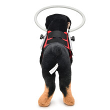 Blind Dog Harness Guiding Device,Blind Dog Halo,Pet Anti-Collision Ring for Build Confidence,Blind Dog Accessories