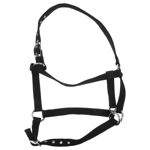 4Stk Robustes Nylon Halfter Set Pferdezubehör Mit Abwurffunktion 1
