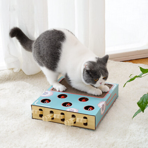 Cat Scratching Pad - Thickened for Indoor Play