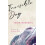 Invisible Dog by Fabio Morabito Paperback Book 1