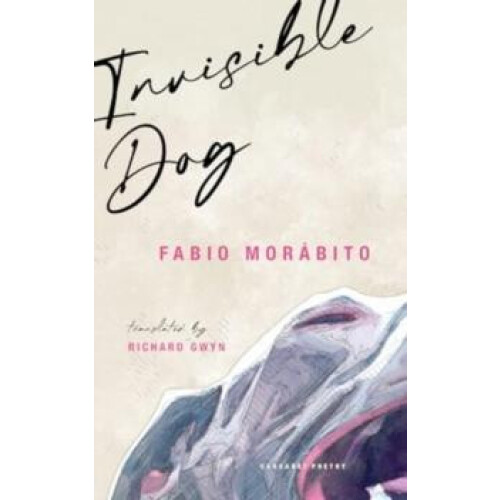 Invisible Dog by Fabio Morabito Paperback Book