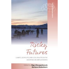 Risky Futures Paperback Book