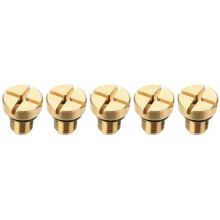 5 Pièces 17111712788 Débordement de Radiateur Liquide de Refroidissement Vase D'Expansion Vis de Purge Or pour E36 E39 E46