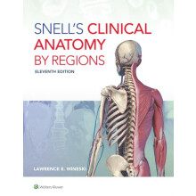 Snells Clinical Anatomy by Regions by Dr. Lawrence E. Wineski Paperbac