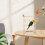 1Ensemble Support Perroquet Bois Clair Table Échelle 5