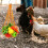 4Pièces Filet Suspendu Polyester Assorti Pour Poulets Bois 5