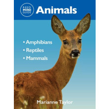 Reed Mini Guide Animals by Marianne Taylor Paperback Book