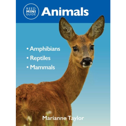 Reed Mini Guide Animals by Marianne Taylor Paperback Book